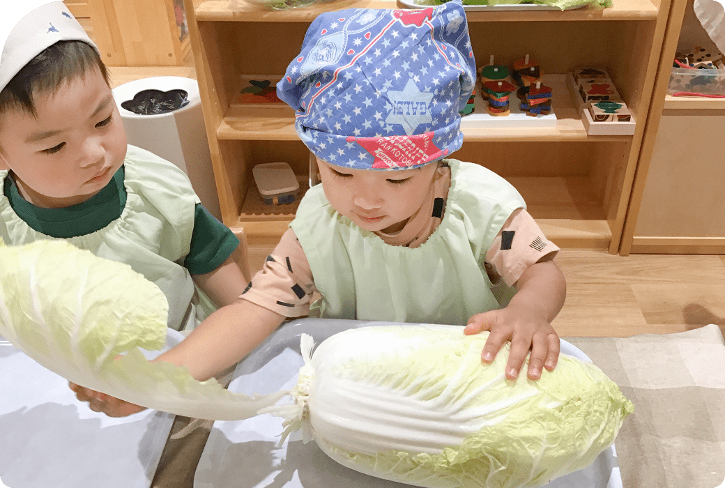 毎月１回、季節の野菜を中心に様々な食材に触れる機会